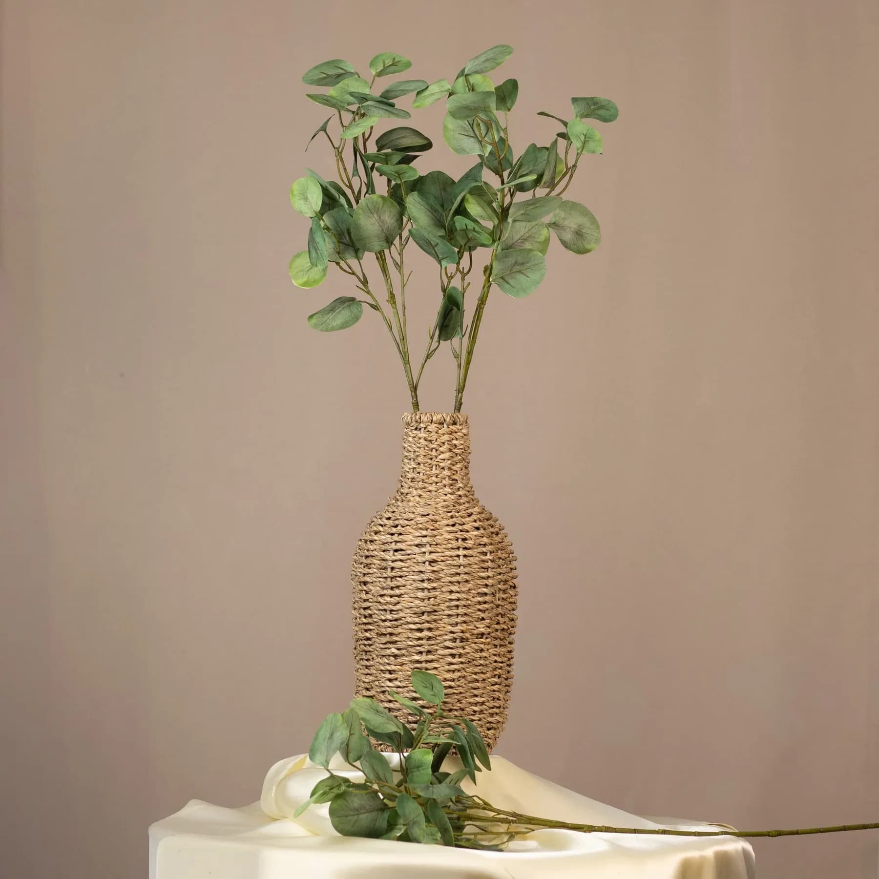 Eukalyptus okrúhly