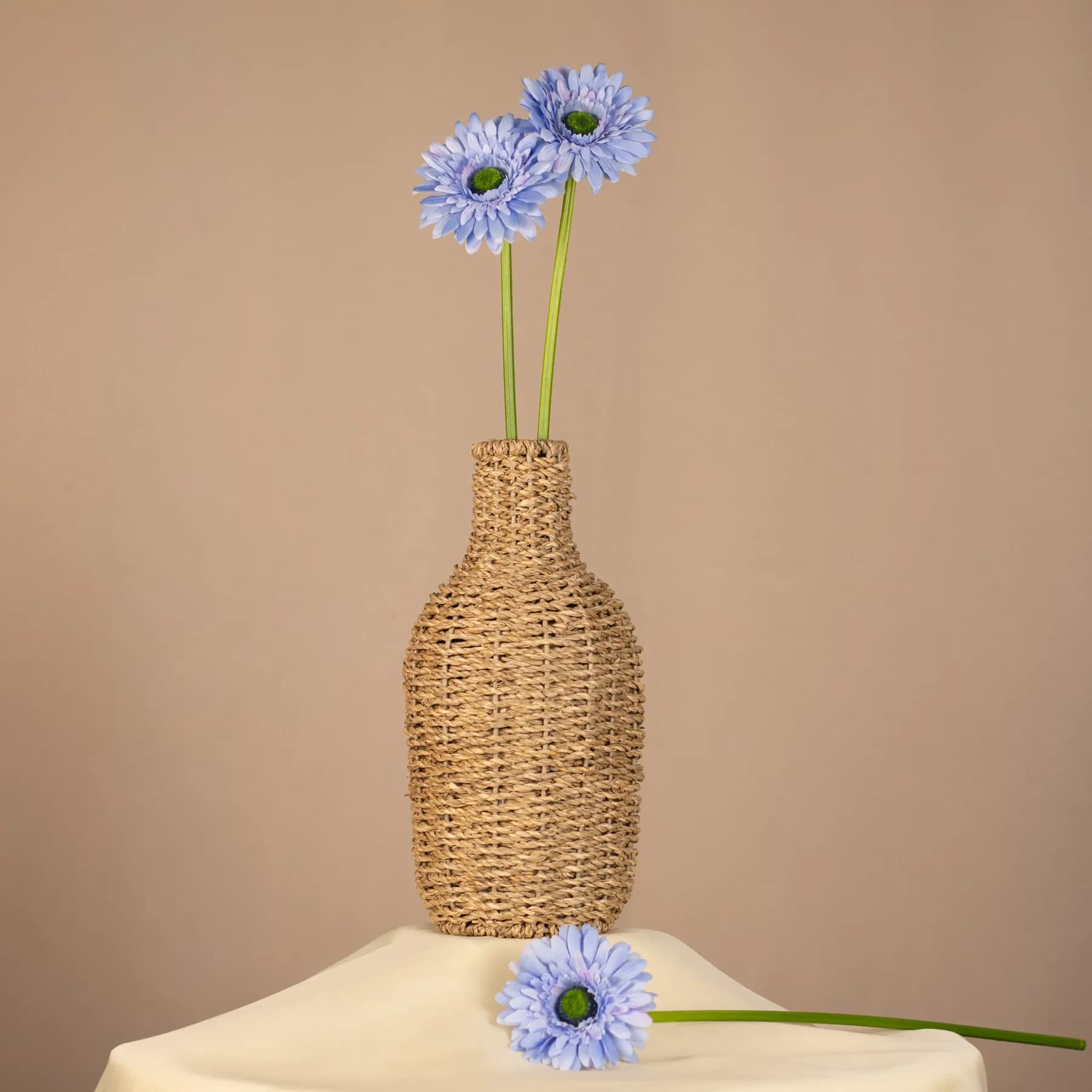 Gerbera na stonke