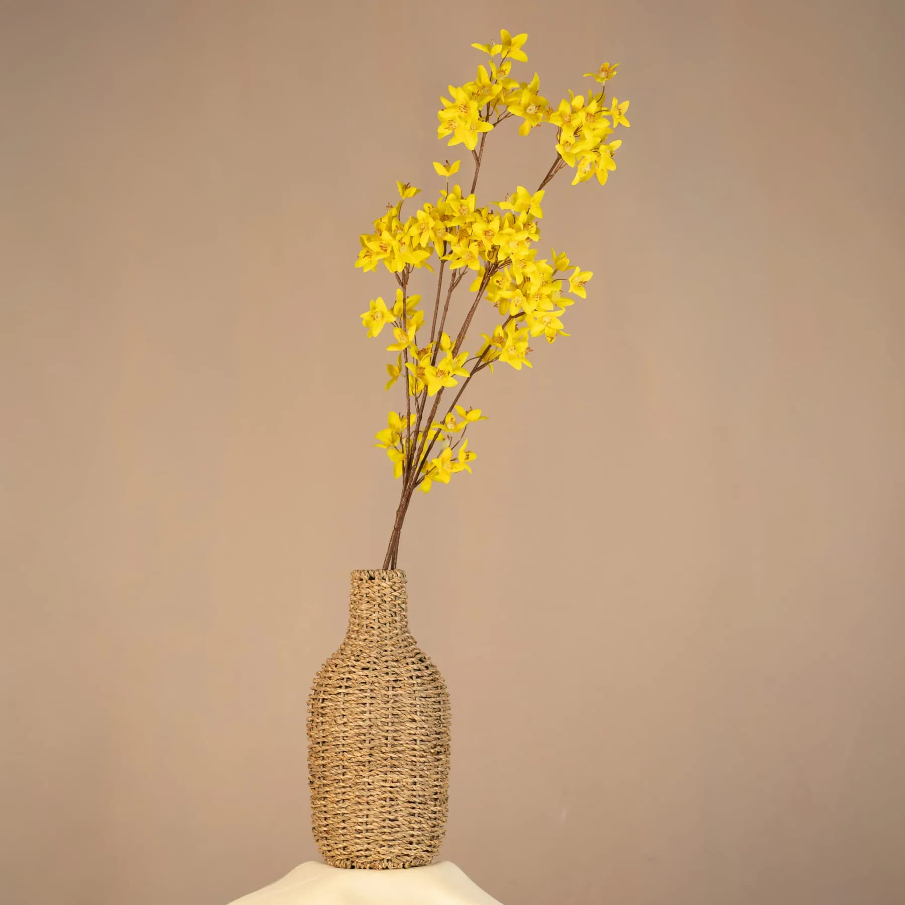 Zlatý dážď