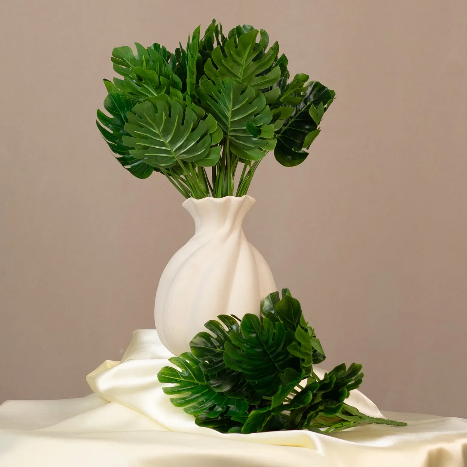 Monstera - hustý zväzok listov