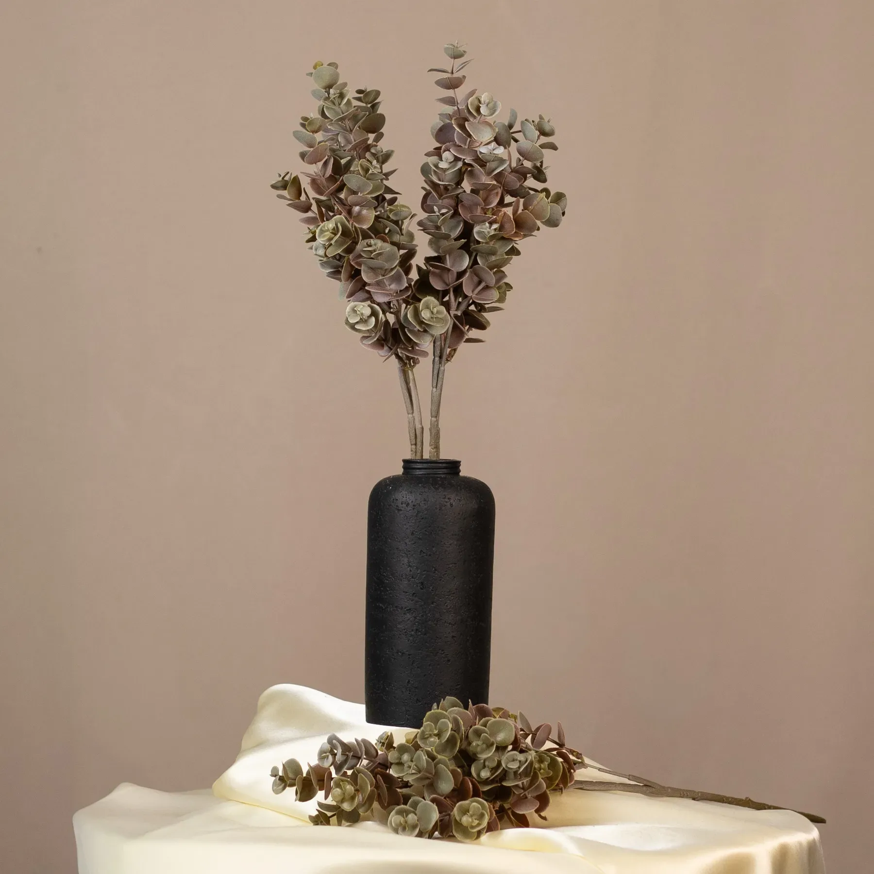 Eukalyptus drobný okrúhly 47 cm