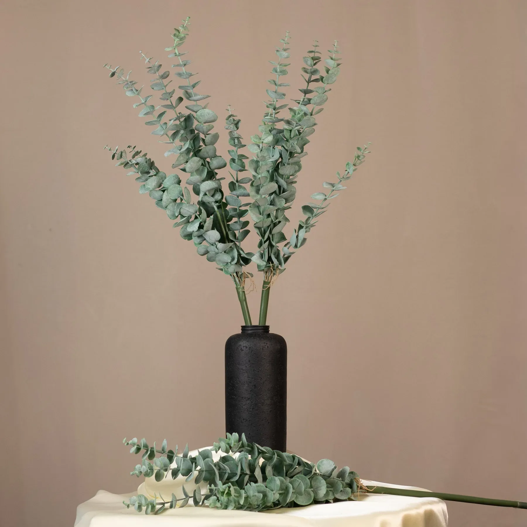 Eukalyptus - dlhý stonok (61 cm)