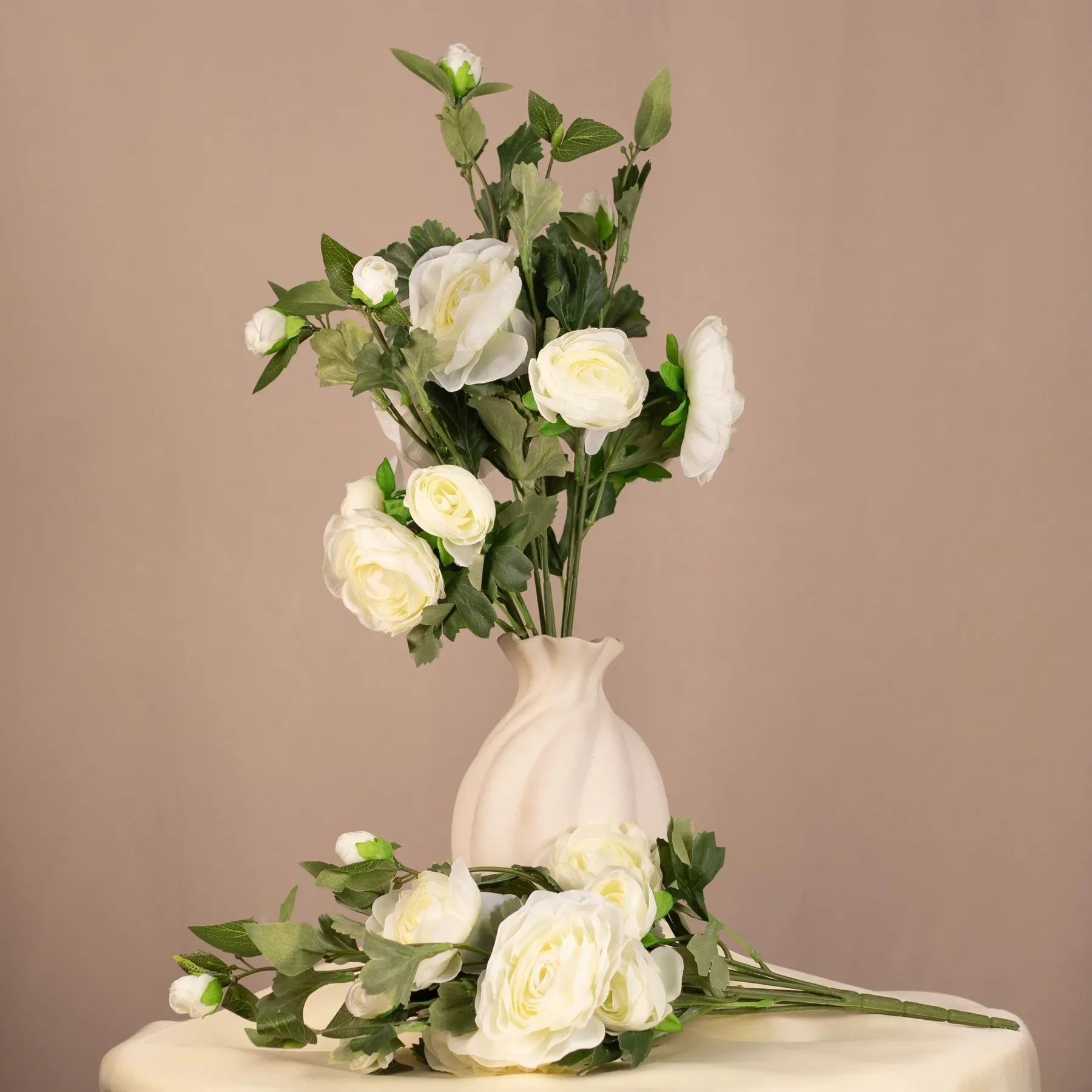 Iskerník (ranunculus) - zväzok