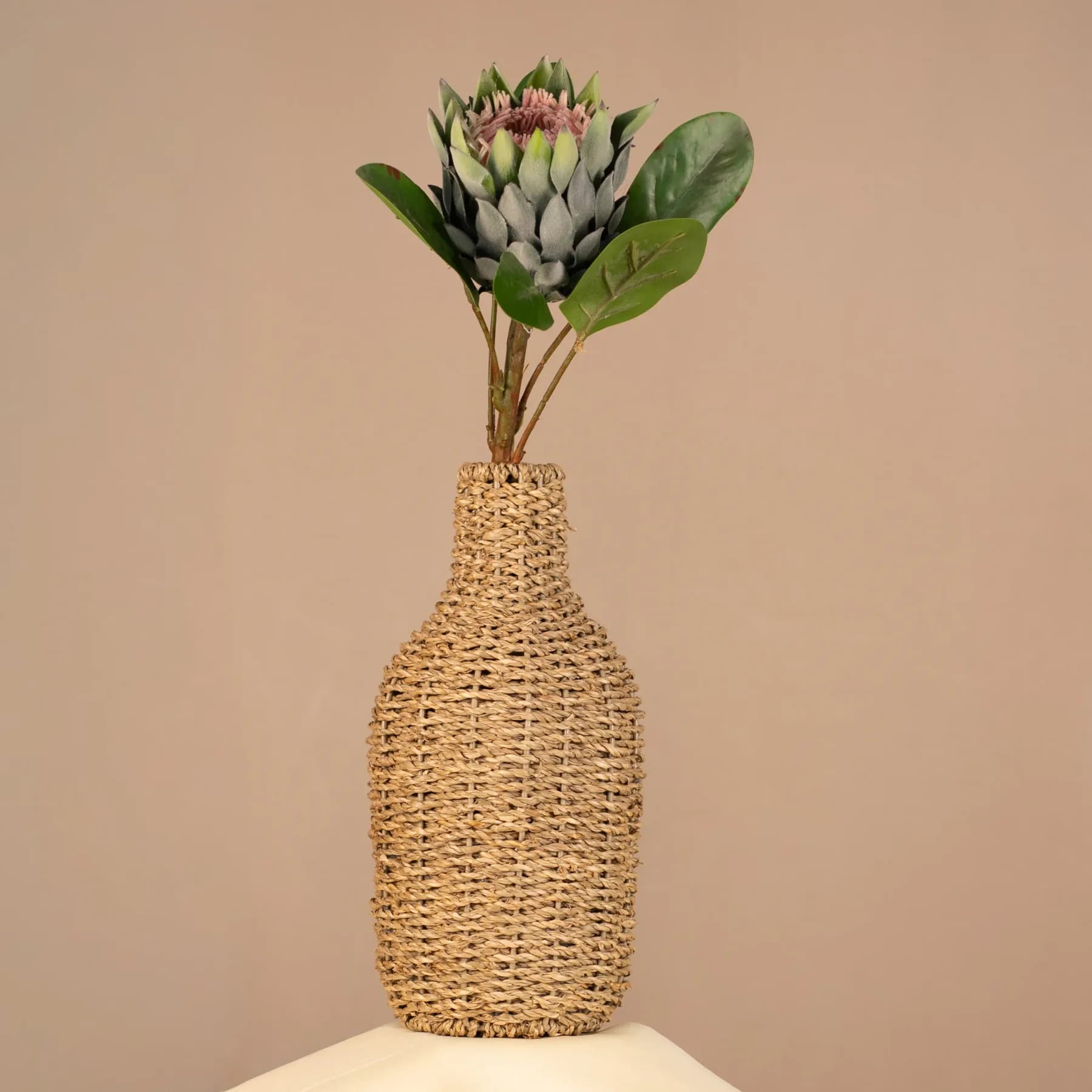 Protea