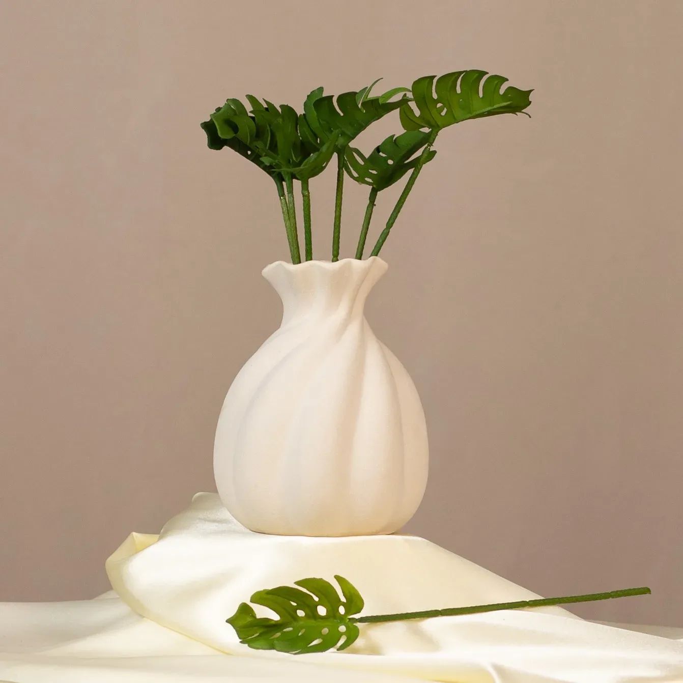 Monstera - jednotlivý list
