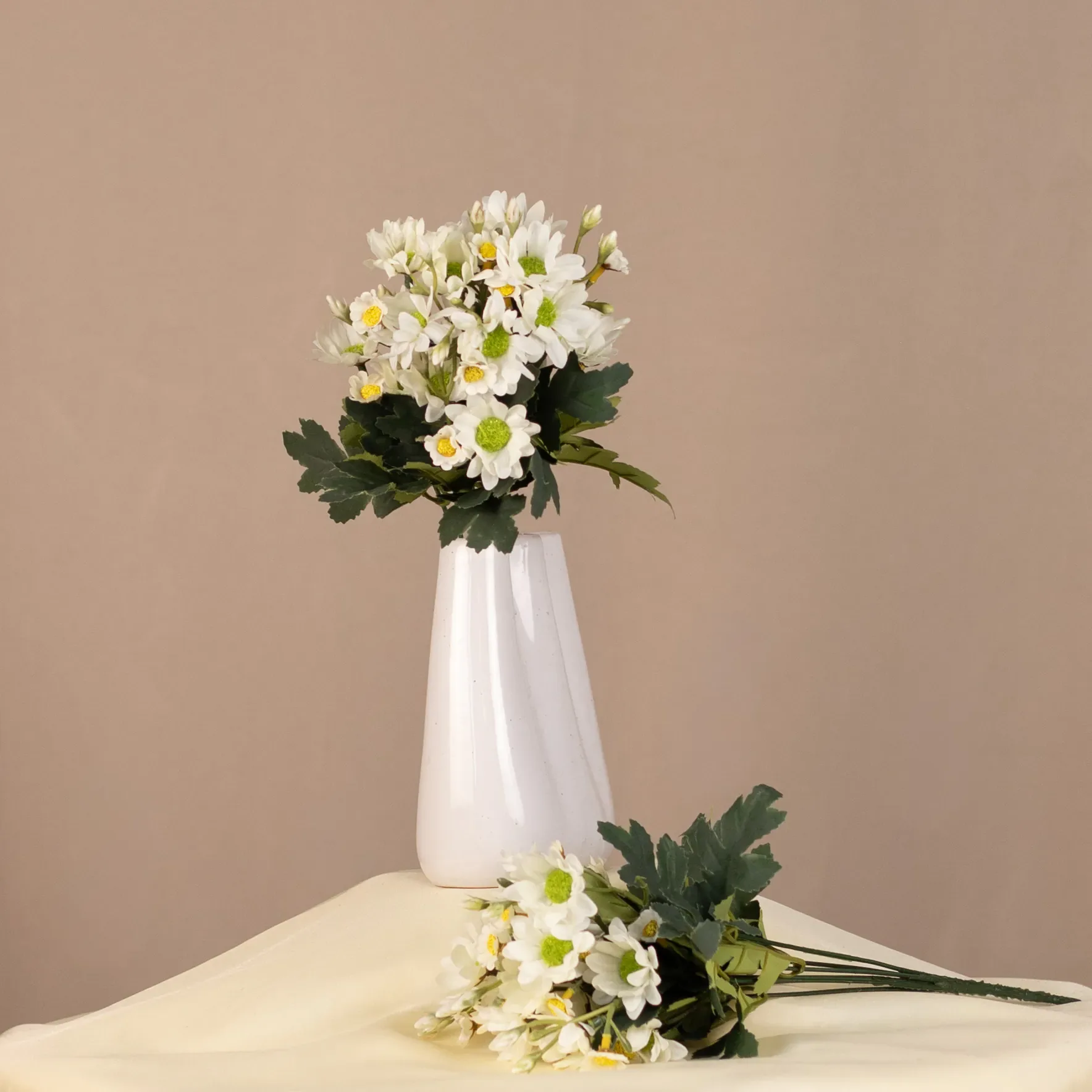 Kytica daisy chryzantém