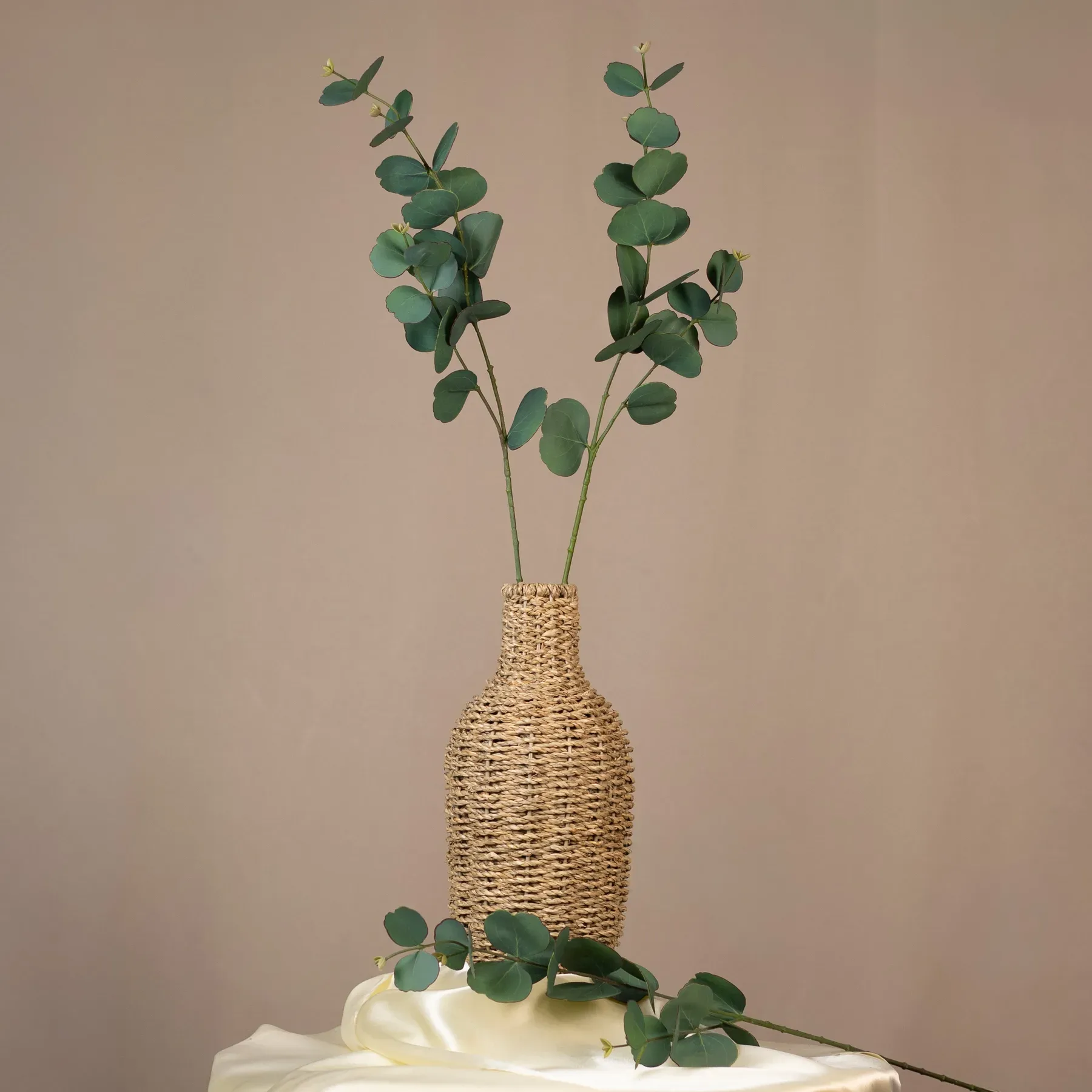 Eukalyptus okrúhly