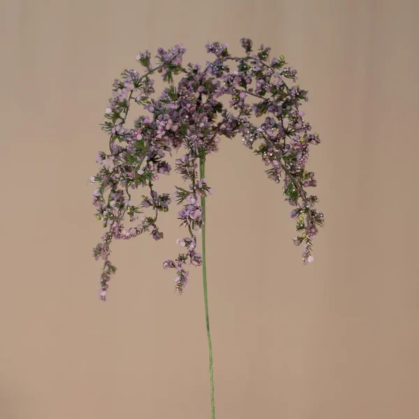 Voskovka - Waxflower